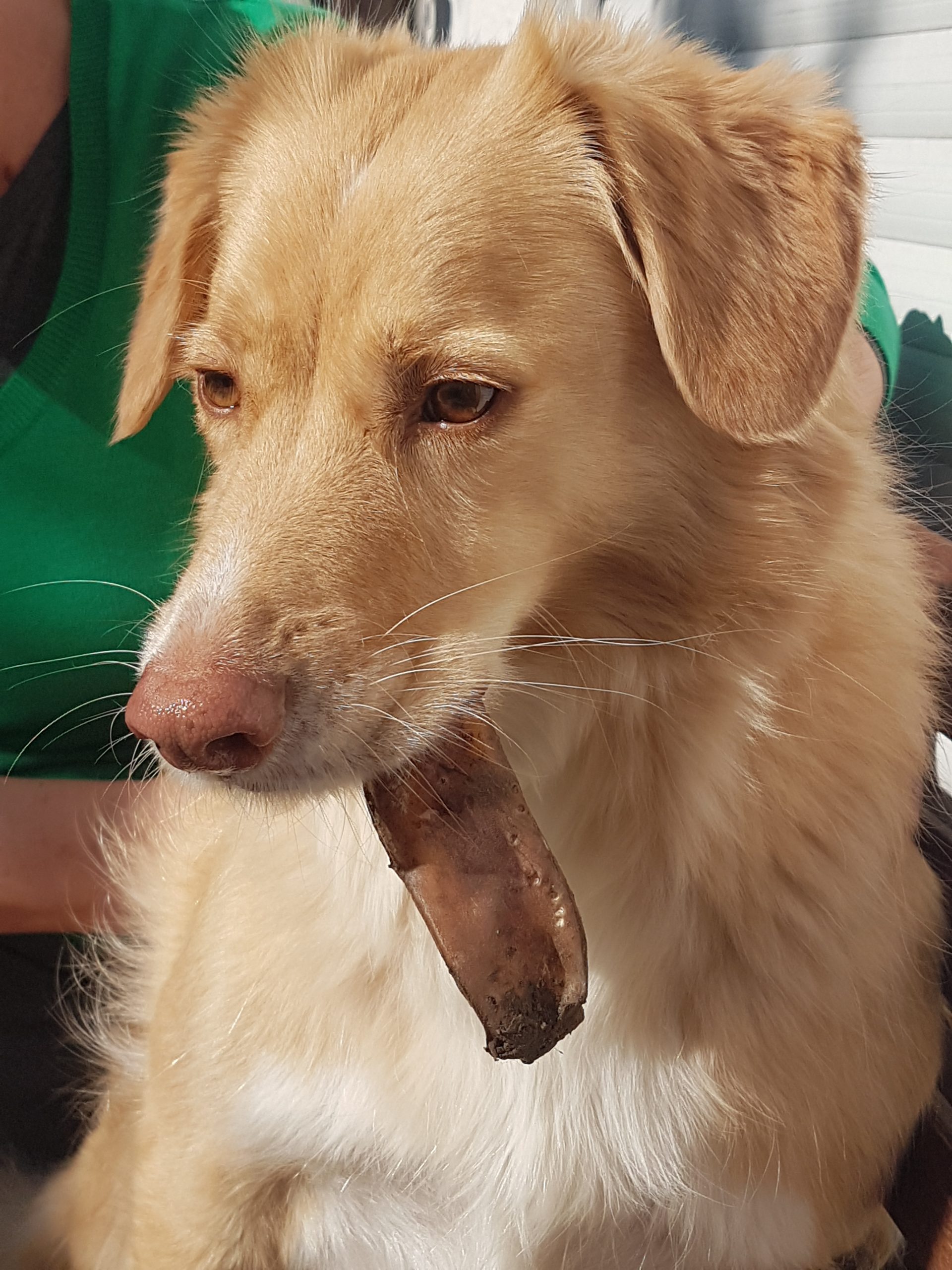 Paolo - spiegelt die Menschen, damit sie sich besser erkennen können